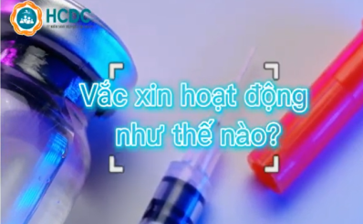 (HCDC-CLIP)-Vắc xin hoạt động như thế nào?